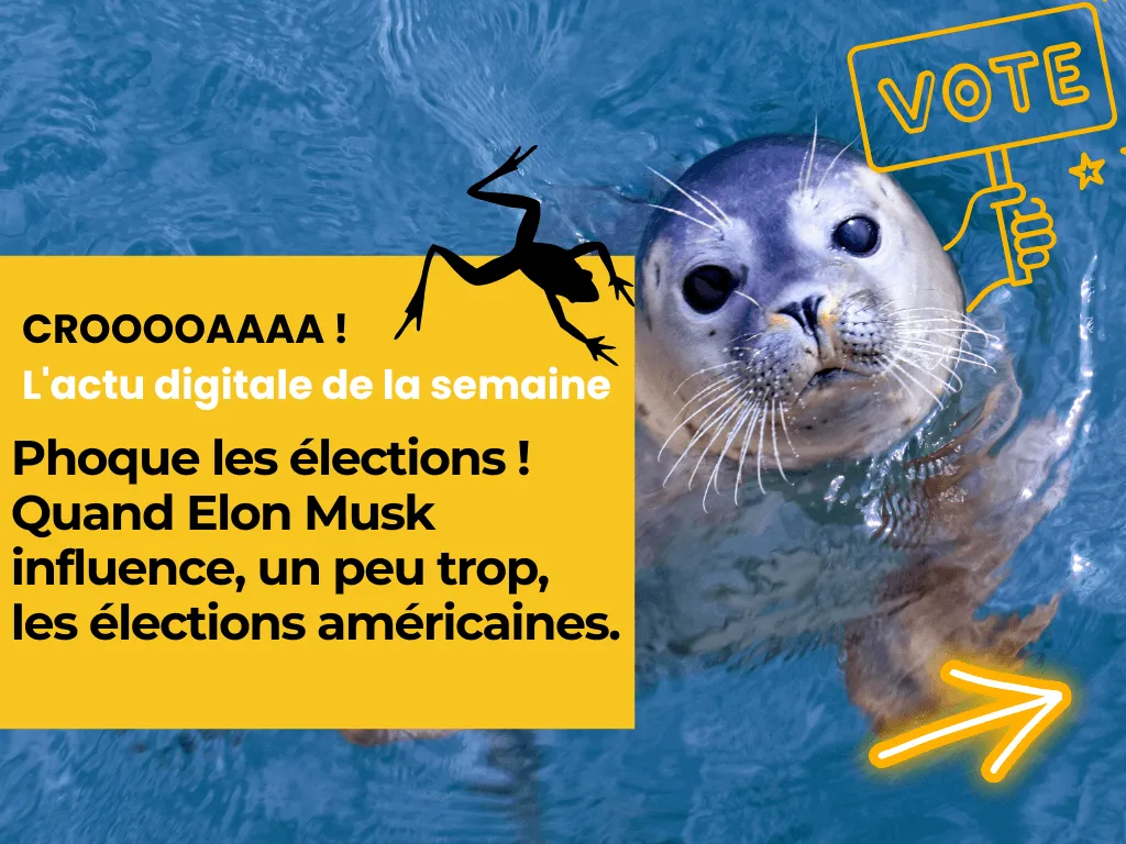 Phoque les élections ! Quand Elon Musk influence, un peu trop, les élections américaines.